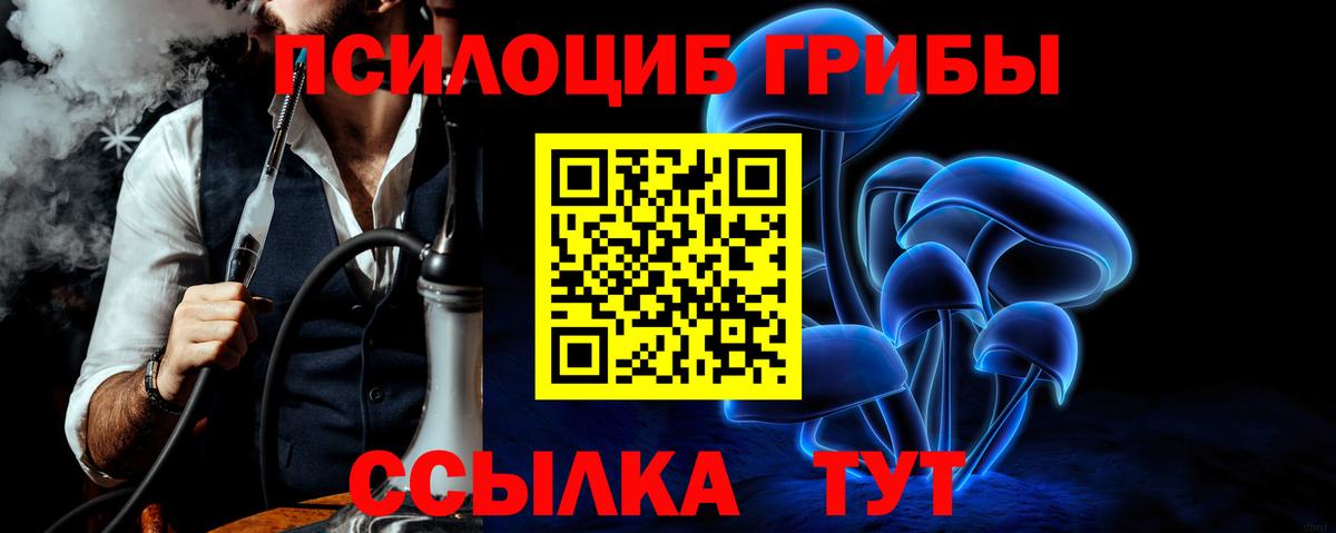 Псилоцибиновые грибы мицелий Заводоуковск